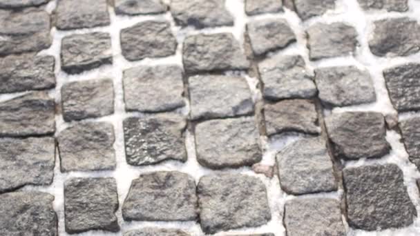 A sidewalk - known as a footpath, footway or pavement — Stock Footage A sidewalk - known as a footpath, footway or pavement Stock Video