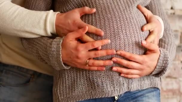 Μαμά και ο μπαμπάς τα χέρια στην έγκυο κοιλιά δείχνει σημάδι της καρδιάς. Έγκυος ζευγάρι χαϊδεύει έγκυος κοιλιά. Φροντίδα της εγκύου. Έννοια της μητρότητας. Εγκυμοσύνη. Ευτυχισμένη οικογένεια. — Αρχείο Βίντεο