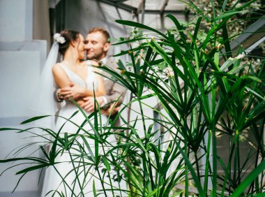 Evdeki düğün çifti birbirine sarılıyor. Beyaz elbiseli güzel bir kız. Takım elbiseli adam. Damat ile güzel gelin.