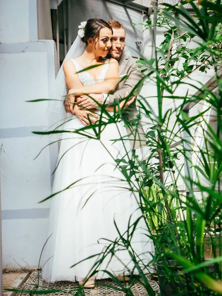 Casamento casal dentro de casa está abraçando uns aos outros. Menina modelo bonita em vestido branco. Homem de fato. Noiva de beleza com noivo . — Fotografia de Stock
