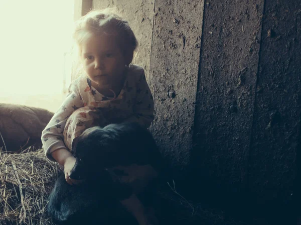 小女孩与狗在谷仓秸秆 — 图库照片