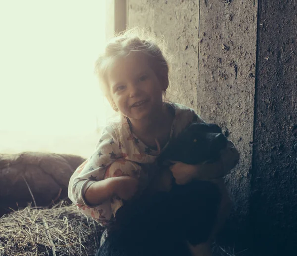 わらに納屋で犬と少女 — ストック写真