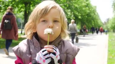 Karahindiba üfleyen mutlu çocuk. Kabarık karahindiba ile küçük kız