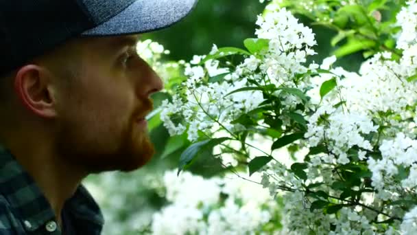 Man snuiven bloemen op een boom — Stockvideo