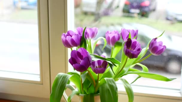 En bukett blommor i en vas på fönsterbrädan mot bakgrund av staden — Stockvideo