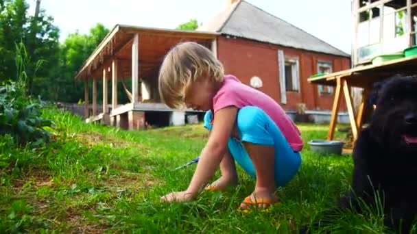 Девочка стрижет траву на газоне ножницами — стоковое видео