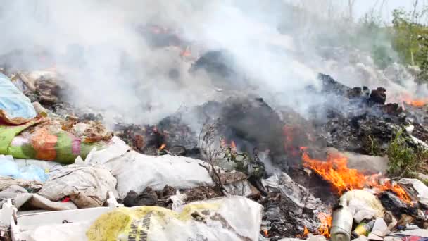 Brand op de vuilnisbelt. Verbranden van afval, ecologie in gevaar — Stockvideo