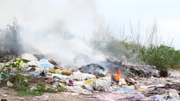Пожежа біля сміттєзвалища. Спалювання сміття, екологія в небезпеці — стокове відео