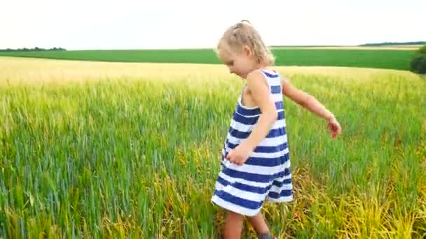 Child girl catches grasshoppers or butterflies in a field — Stock Video