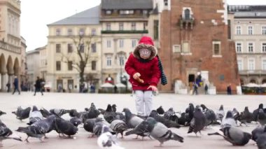 Krakow, Polonya'nın orta meydanında güvercinleri besleyen kız