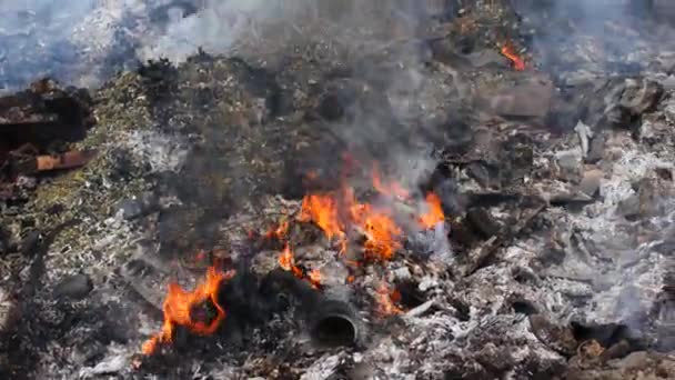 Incendie, bâtiment en feu, détails en gros plan . — Video