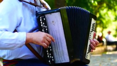 Müzik ulusal Ukrayna aletleri çalmak
