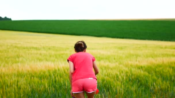 La fille attrape un filet à papillons dans le champ — Video