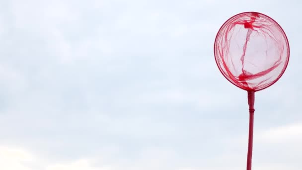 Red de mariposas para atrapar mariposas contra el cielo — Vídeos de Stock