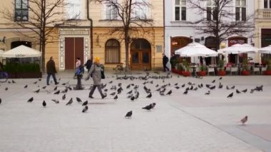 Krakow, Polonya, Mart 2019. Şehrin ana meydanı, güvercinler ve insanlar.