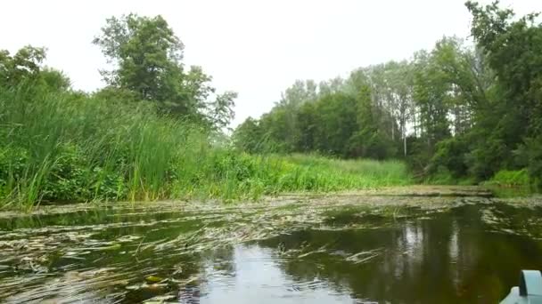 Вид на байдарку с носа, спокойная река — стоковое видео