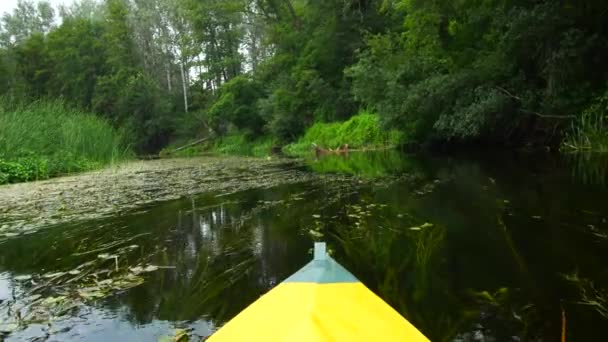 Kayak view from the nose, calm river — Stock Video