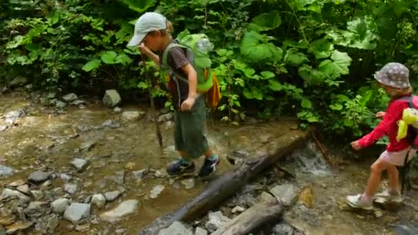 Hermano pequeño y hermana están caminando a lo largo de un sendero forestal. El concepto de niños activos y sanos . — Vídeos de Stock