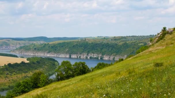 Paesaggio nelle steppe dell'Ucraina, campi e fiume potente — Video Stock