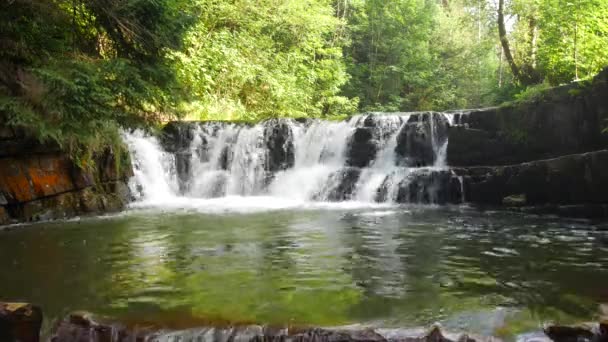 Cachoeira em um pequeno rio de montanha — Vídeo de Stock