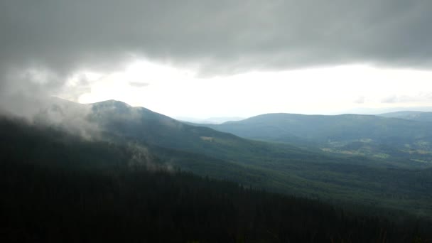Mist van stoom over berg boslandschap. — Stockvideo