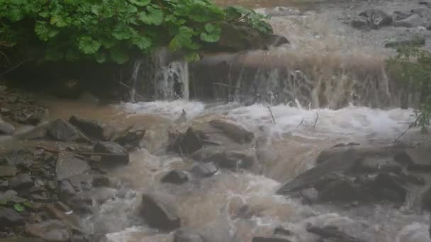 Брудна вода в гірській річці після дощу — стокове відео