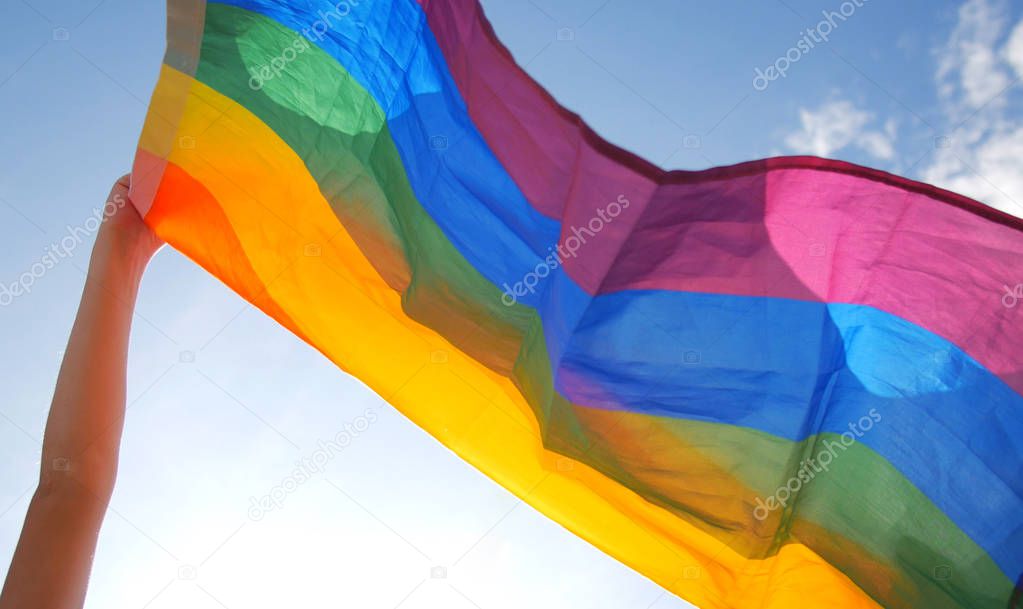 LGBT Pride Flag at the Parade