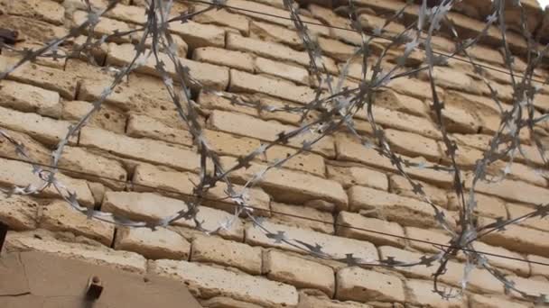 Arame farpado em uma parede de tijolo — Vídeo de Stock