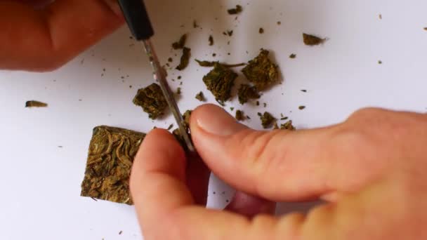 De hennep is gesneden met een schaar. Cannabisbereiding voor consumptie — Stockvideo