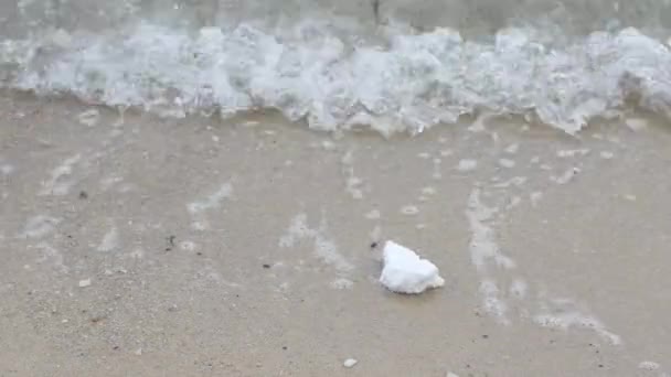 Un trozo de espuma de poliestireno está clavado en la orilla del mar — Vídeo de stock