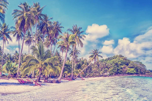 Paradise nature, bungalows surrounded by palm trees on the tropical beach in Thailand. Summer travel background with retro vintage instagram filter.