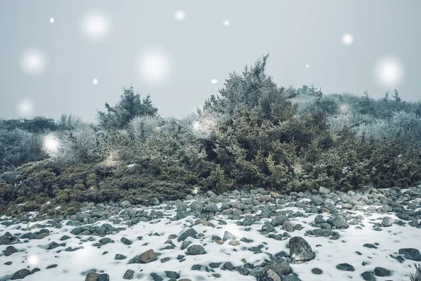 Inverno nevado paisagem — Fotografia de Stock