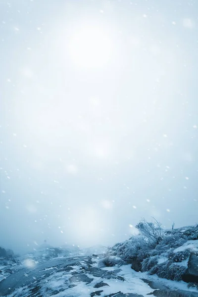 Inverno nevado paisagem — Fotografia de Stock