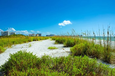 Marco Adası 'nda Tigertail Plajı