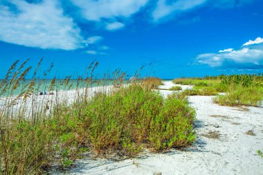 Tigertail beach at Marco Island clipart