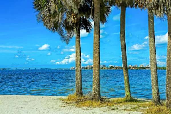 La naturaleza de Sarasota, Florida — Foto de Stock