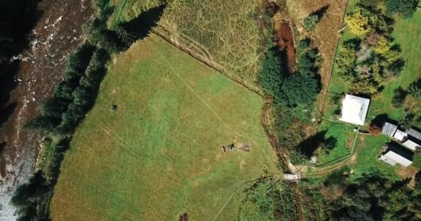 Drone Légi Felvételek Erdő Város Kárpát Hegység Gyönyörű Tájkép Shot — Stock videók