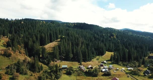 Красиві Drone Кадри Маленький Міський Ліс Західній Україні Оточений Високому — стокове відео