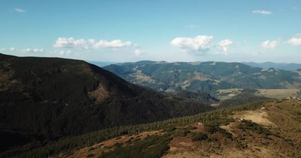 Filmagem Belas Montanhas Dos Cárpatos Cobertas Com Floresta Verde Sob — Vídeo de Stock