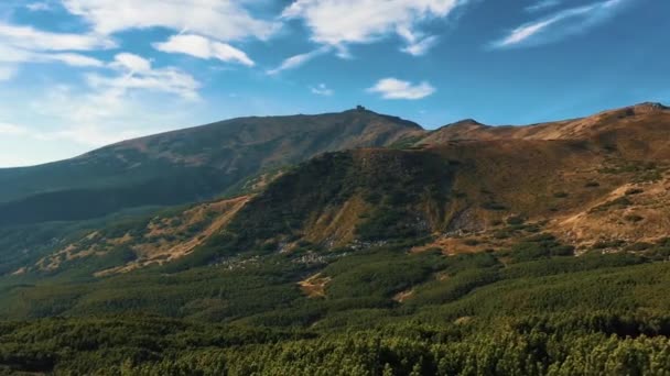 Yeşil Vadi Karpat Dağları Güney Ukrayna Nın Tepeleri Üzerinde Büyüyen — Stok video