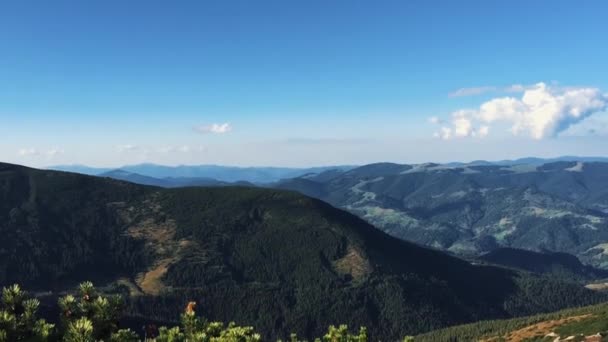 Hermoso Panorama Del Parque Montaña Cárpatos Filmado Otoño Imágenes Del — Vídeo de stock