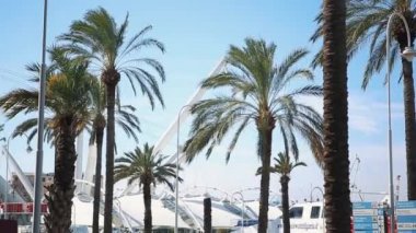 İtalya, Genova - 12 Ekim, 2018: Cenova güzel eski şehir liman alanı ile palmiye ağaçları ve yatlar Akdeniz deniz sahil üzerinde. Ligurya, eski Avrupa popüler turizm.