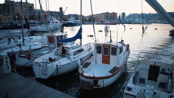 Itália Genova Outubro 2018 Porto Cidade Velha Área Turística Popular — Vídeo de Stock