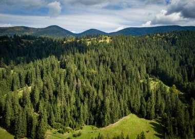 Hava dron manzara fotoğraf bulutlu mavi gökyüzü altında yüksek kayalık Karpat Dağları üzerinde büyüyen yeşil orman ağaçları. Güzel bir Europe.Travel hedef aktif Turizm için doğal park manzarası