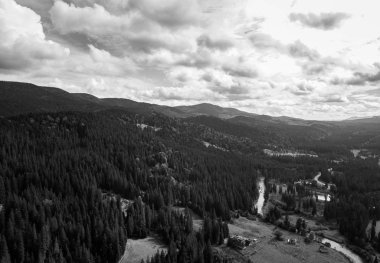 Hava dron manzara fotoğraf yüksek kayalık Karpat Dağları üzerinde büyüyen yeşil orman ağaçları. Doğal Park Güney Europe.Travel hedef aktif Turizm ve yürüyüş için güzel manzara
