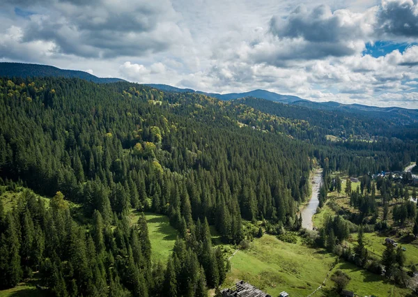 Photo Aérienne Drones Représentant Des Arbres Forestiers Verts Poussant Sur — Photo