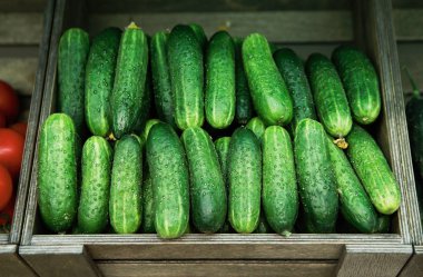 Bakkal gıda mağazasında satışa ahşap kutu içinde yeşil taze salatalık Görüntüleri. Sağlıklı beslenme için doğal maddeler satın alın.
