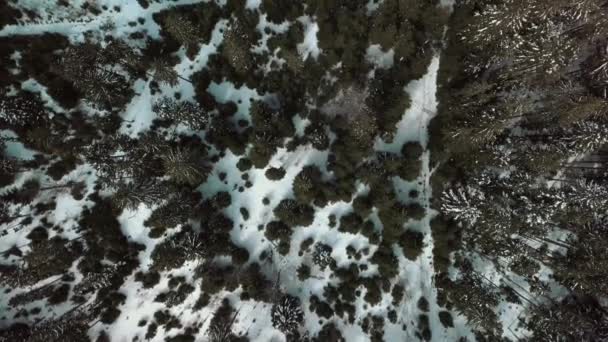 Drone Videó Bukovel Kárpát Hegység — Stock videók