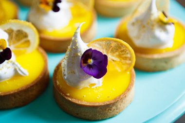 Narenciye ile lezzetli bisküvi tart ve krem yemek. İtalyan pasta Cafe menü öğesini kapatın. Restoranda taze pişmiş tatlı tadını çıkarın. Küçük tatlı dekoratif kek closeup çekim 