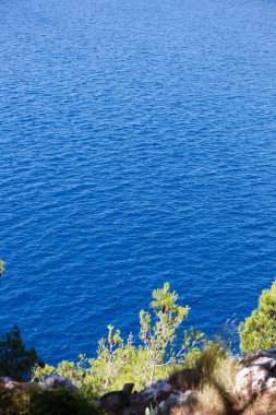 Hırvatistan'da Akdeniz. Doğa, seyahat